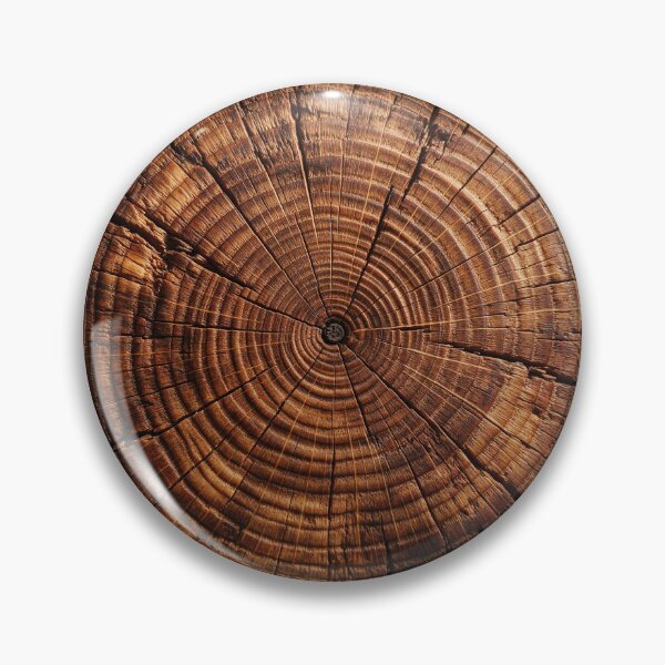 Item preview, Cross Section of an Oak Tree designed and sold by Tridentulus.