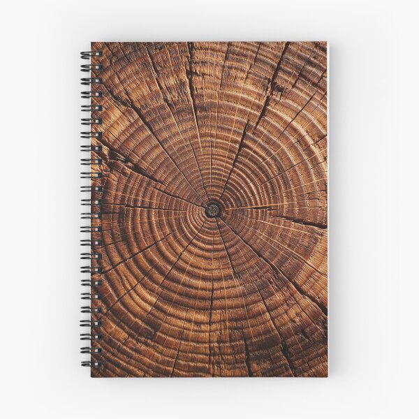 Item preview, Cross Section of an Oak Tree designed and sold by Tridentulus.
