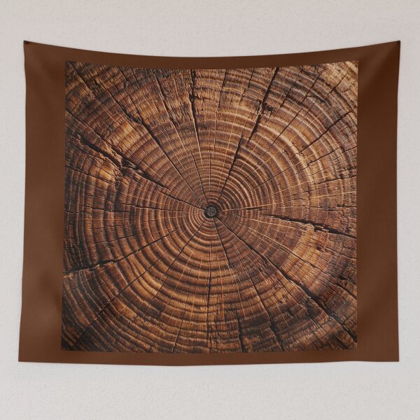 Item preview, Cross Section of an Oak Tree designed and sold by Tridentulus.