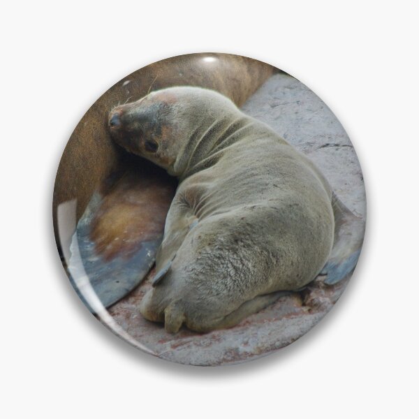 Item preview, Baby sea lion (Otaria flavescens) designed and sold by FBBFoto.
