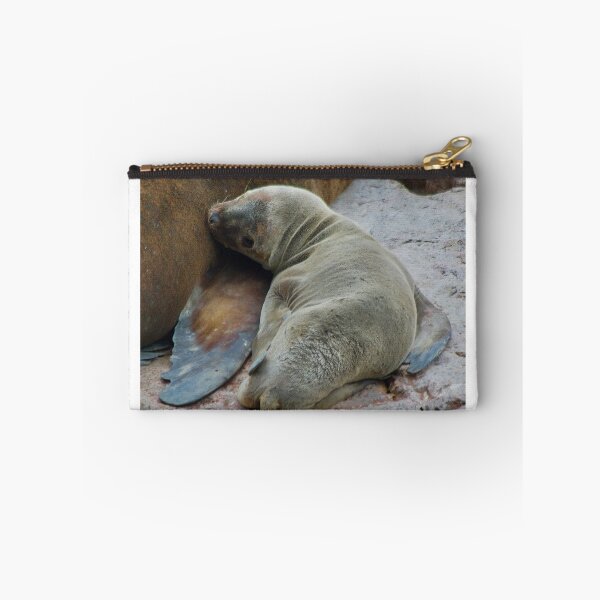 Item preview, Baby sea lion (Otaria flavescens) designed and sold by FBBFoto.