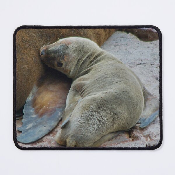 Item preview, Baby sea lion (Otaria flavescens) designed and sold by FBBFoto.