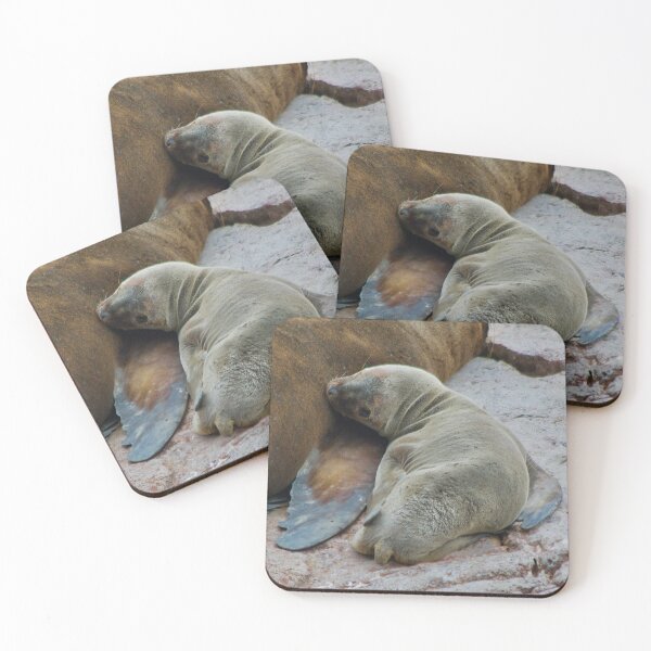 Item preview, Baby sea lion (Otaria flavescens) designed and sold by FBBFoto.