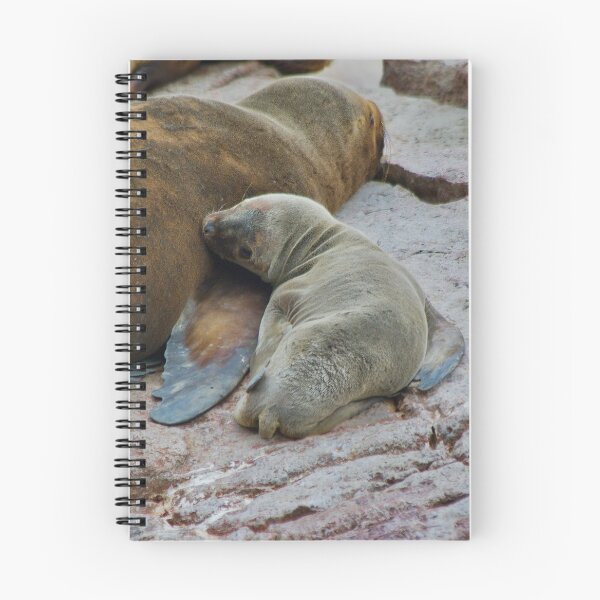 Item preview, Baby sea lion (Otaria flavescens) designed and sold by FBBFoto.
