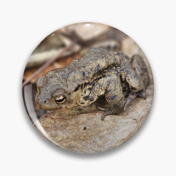 Item preview, Once a toad, always a toad designed and sold by Kat Simmons.