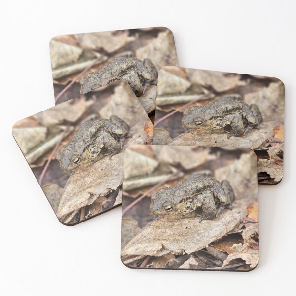 Item preview, Once a toad, always a toad designed and sold by Kat Simmons.