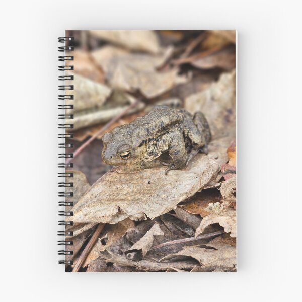 Item preview, Once a toad, always a toad designed and sold by Kat Simmons.