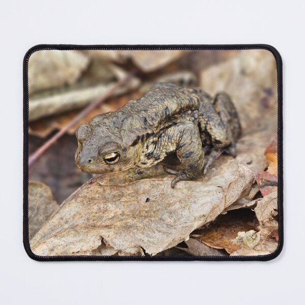 Item preview, Once a toad, always a toad designed and sold by Kat Simmons.