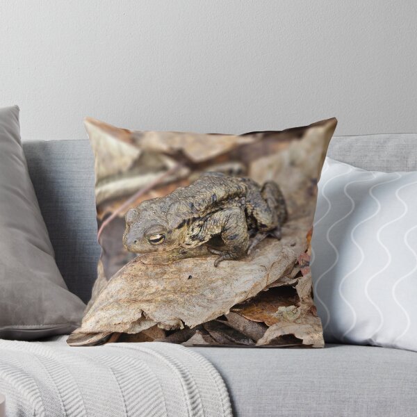 Item preview, Once a toad, always a toad designed and sold by Kat Simmons.