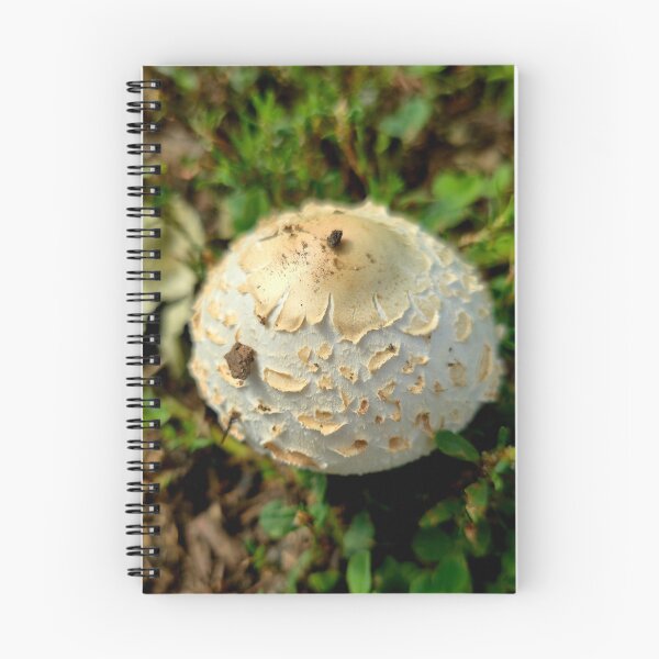 Item preview, White Shaggy Mushroom Cap Photo designed and sold by NikaNavi.