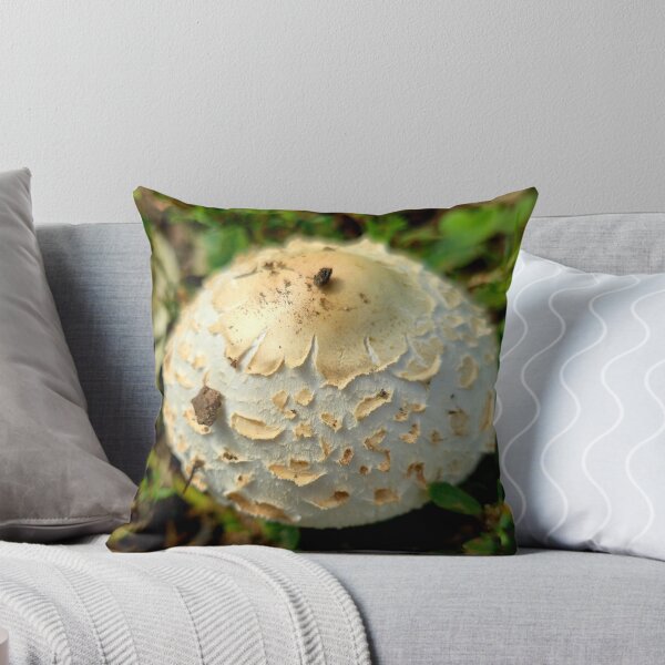 Item preview, White Shaggy Mushroom Cap Photo designed and sold by NikaNavi.