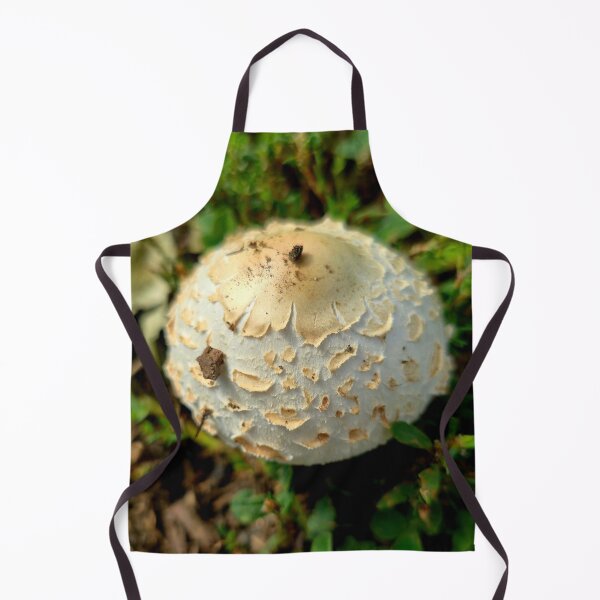 Item preview, White Shaggy Mushroom Cap Photo designed and sold by NikaNavi.