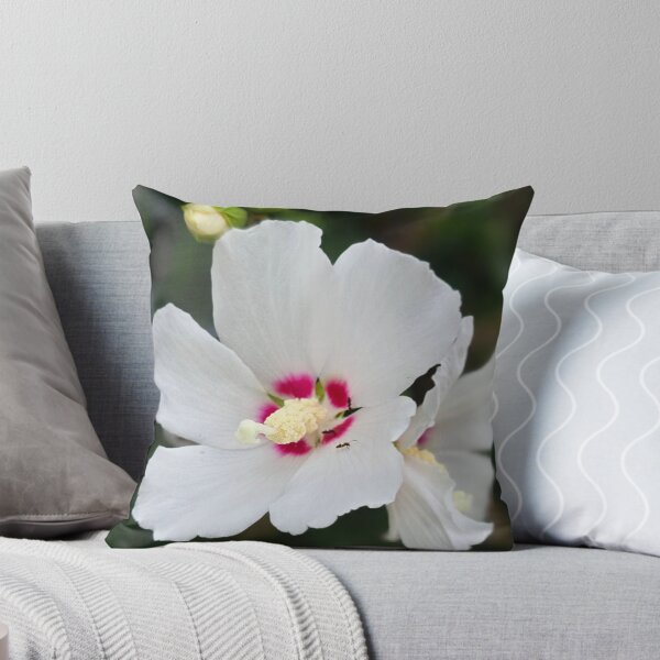Item preview, White Hibiscus Bloom with Pink Center Photo designed and sold by NikaNavi.