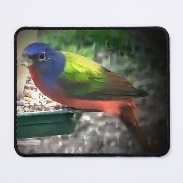 Item preview, Painted Bunting Bird designed and sold by Missy69.