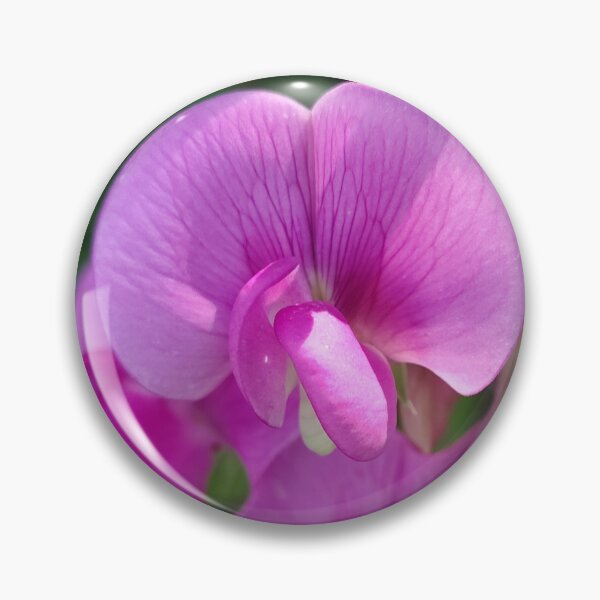 Item preview, Pink Debutant designed and sold by SCTBUFFALOPHOTO.