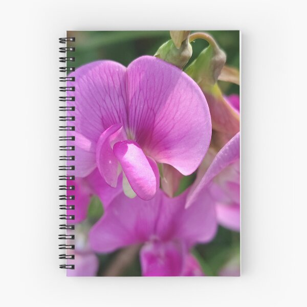 Item preview, Pink Debutant designed and sold by SCTBUFFALOPHOTO.