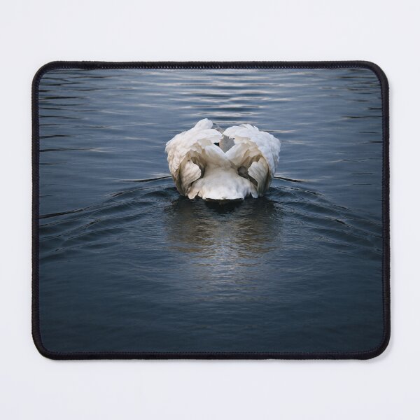 Item preview, Graceful Swan Gliding on Dark Water designed and sold by Astute-Artio-Photography.