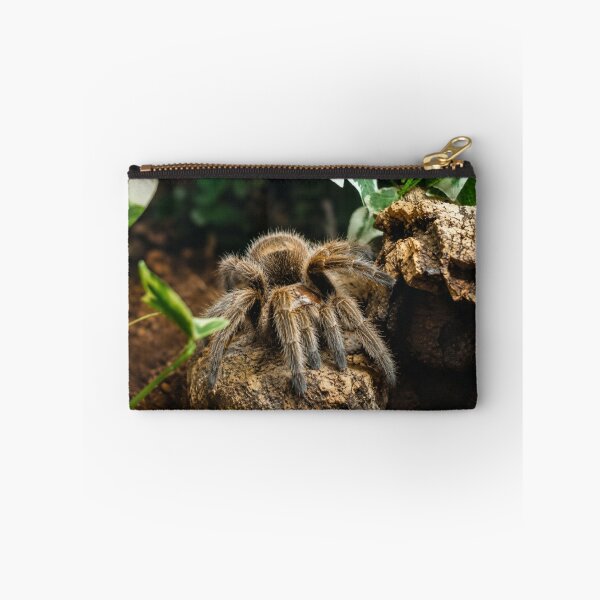 Item preview, Furry Tarantula Emerging designed and sold by Astute-Artio-Photography.