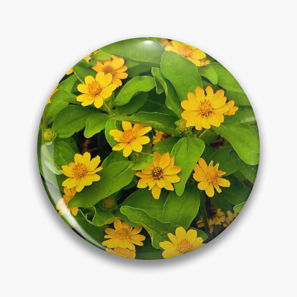 Item preview, Yellow Butter Daisy Flowers Photo designed and sold by NikaNavi.