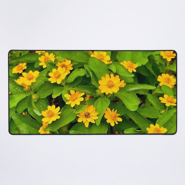 Item preview, Yellow Butter Daisy Flowers Photo designed and sold by NikaNavi.