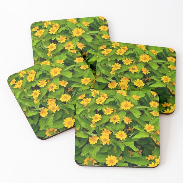 Item preview, Yellow Butter Daisy Flowers Photo designed and sold by NikaNavi.