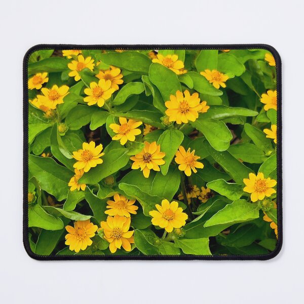 Item preview, Yellow Butter Daisy Flowers Photo designed and sold by NikaNavi.