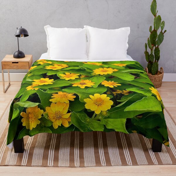 Item preview, Yellow Butter Daisy Flowers Photo designed and sold by NikaNavi.