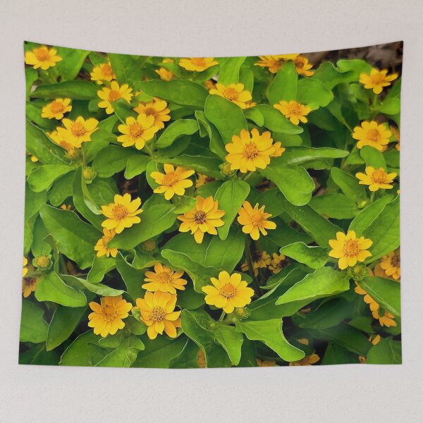 Item preview, Yellow Butter Daisy Flowers Photo designed and sold by NikaNavi.