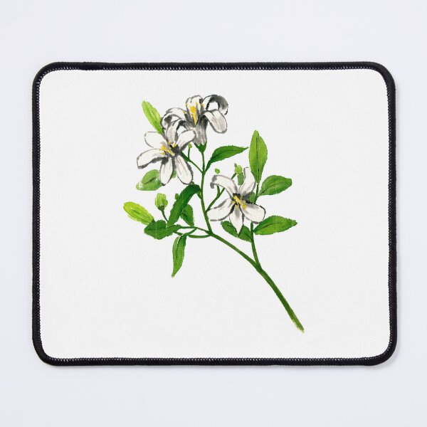 Item preview, June 8th birthday flower Jasmine designed and sold by 366birthflower.