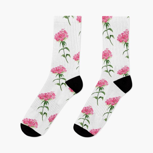 Item preview, June 10th birthday flower Sweet William designed and sold by birthflower.