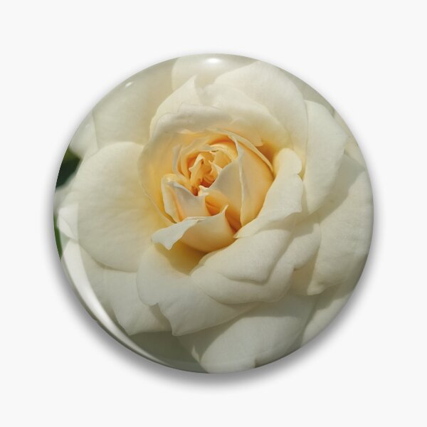 Item preview, White Rose Blooming designed and sold by SCTBUFFALOPHOTO.