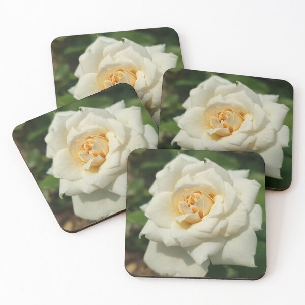 Item preview, White Rose Blooming designed and sold by SCTBUFFALOPHOTO.