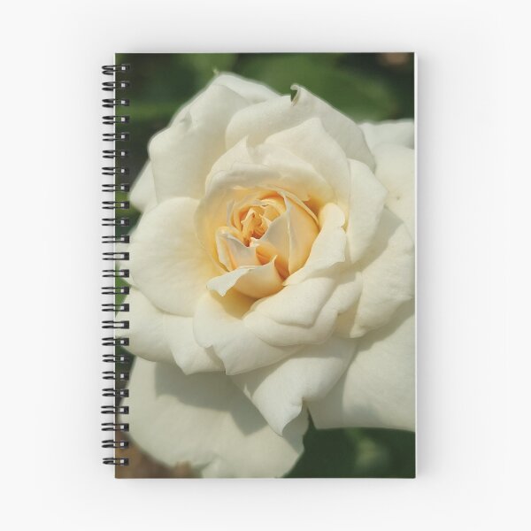 Item preview, White Rose Blooming designed and sold by SCTBUFFALOPHOTO.