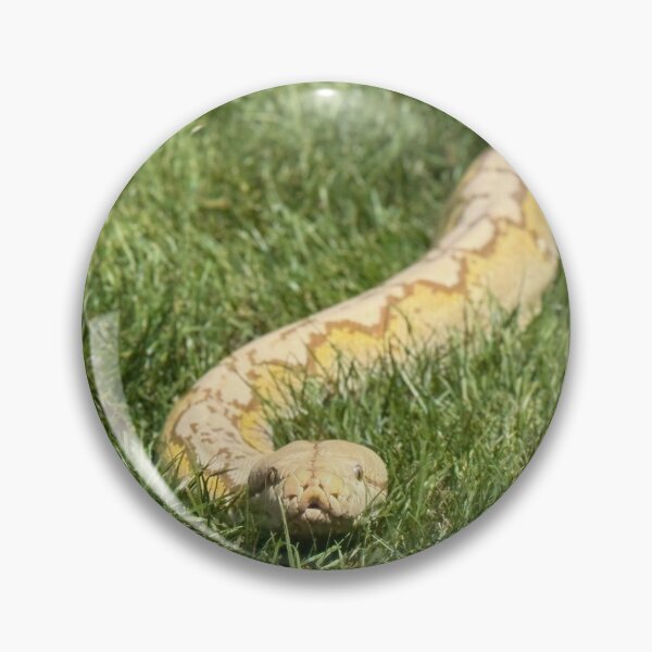 Item preview, Reticulated Python in Grass designed and sold by BeachBumFamily.