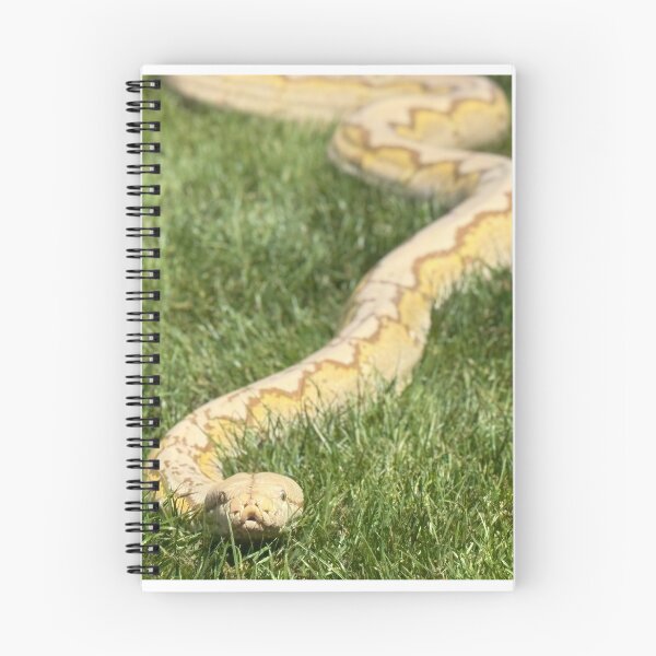 Aperçu de l'œuvre Python réticulé dans l'herbe créée et vendue par BeachBumFamily.