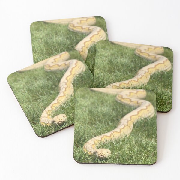Item preview, Reticulated Python in Grass designed and sold by BeachBumFamily.