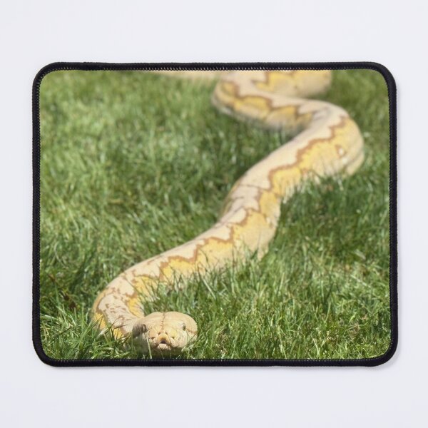Item preview, Reticulated Python in Grass designed and sold by BeachBumFamily.