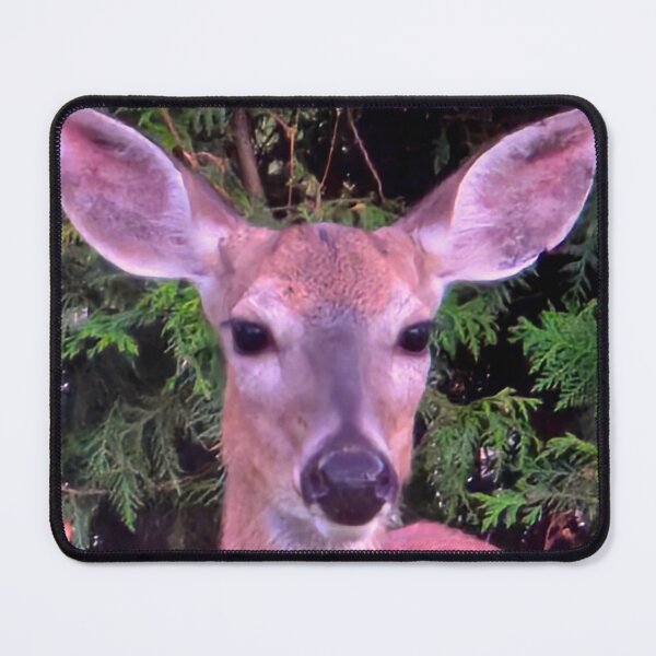 Item preview, White-tailed Deer designed and sold by bjtomiko.