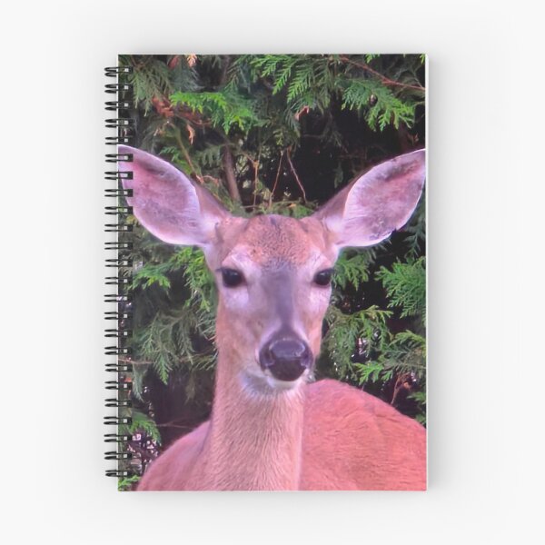 Item preview, White-tailed Deer designed and sold by bjtomiko.