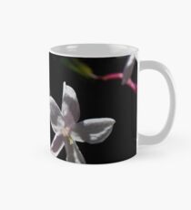 Jasmine Blooms On Black Classic Mug