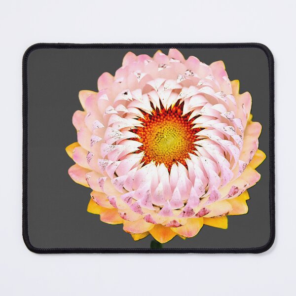 Item preview, Being Pink and Lasting Forever. designed and sold by Larry Davis.