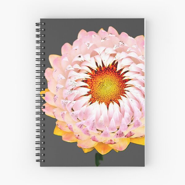 Item preview, Being Pink and Lasting Forever. designed and sold by Larry Davis.