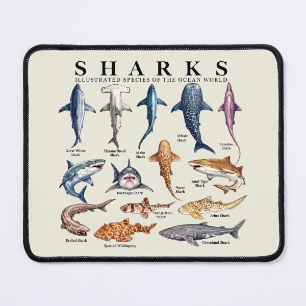 Item preview, Shark Species Marine Biology Ocean Animal Art designed and sold by haloochichi.