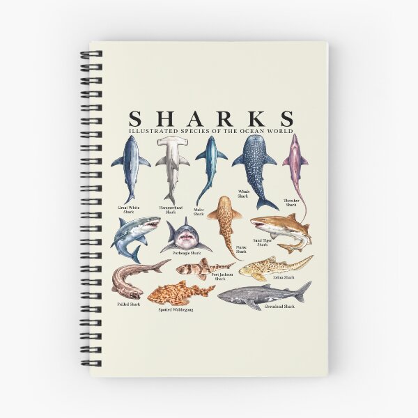Item preview, Shark Species Marine Biology Ocean Animal Art  designed and sold by haloochichi.