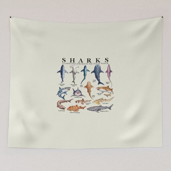 Item preview, Shark Species Marine Biology Ocean Animal Art designed and sold by haloochichi.