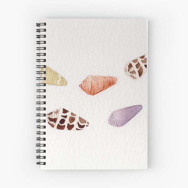 Item preview, Cone Shell Arrangement designed and sold by KPierceArt.