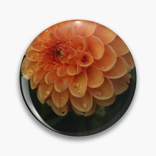 Item preview, Dahlia designed and sold by Vstarkphotos.