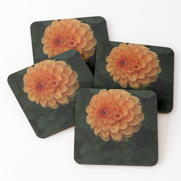 Item preview, Dahlia designed and sold by Vstarkphotos.