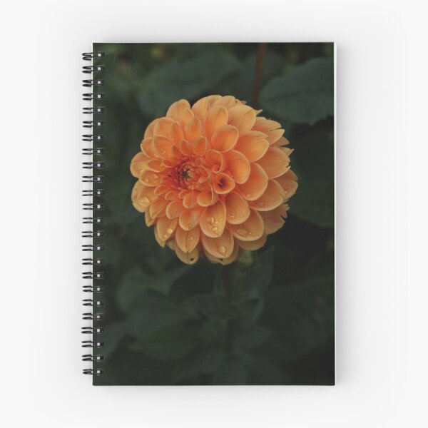 Item preview, Dahlia designed and sold by Vstarkphotos.