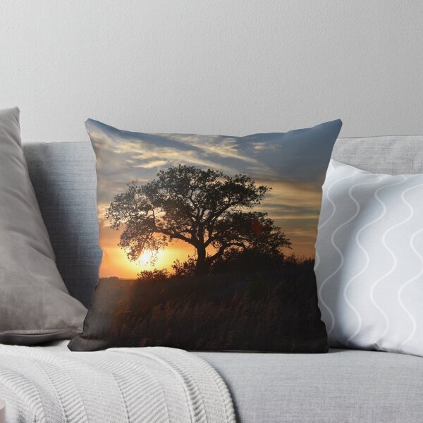 Item preview, Three Sisters Tree at Sunset designed and sold by heatherjphotography.